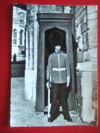 ROYAUME UNI - WINDSOR - GUARD AT HENRY VIIITH GATE , WINDSOR CASTLE - - Windsor