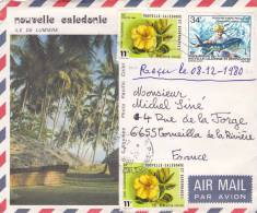 NOUVELLE-CALEDONIE, Lettre, 1980, NOUMEA Pour LA FRANCE,  Yv 436/PA202/2544 - Brieven En Documenten