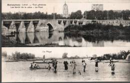 45....LOIRET.....BEAUGENCY.....LES BORDS DE LA LOIRE.... EC R ITE.. ‹(•¿• )› - Beaugency