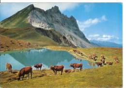 KLOSTERS - Gotschnasee Mit Casanna - Vaches - Klosters