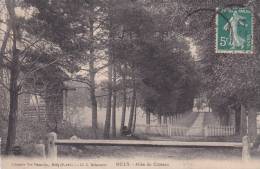 CPA 91 - MILLY -  Allée Du Château - Milly La Foret