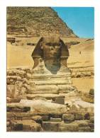 Cp, Egypte, Giza, Th Great Sphinx, écrite - Gizeh