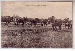 58 St PIERRE Le MOUTIER - Le Labourage - Animé Gros Plan Groupe De Chevaux Tirant  Charrue Lors D'un Concours De Labour - Saint Pierre Le Moutier