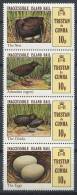 TRISTAN DA CUNHA 1981- Oiseau - Neuf Se Tenant Sans Charniere (Yvert 298/01) - Tristan Da Cunha