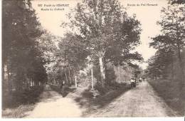 Forêt De Sénart (Corbeil-Essonnes-Essonne)-+/-1910-Route Du Détroit Et Route Du Pré Hersant-Photo. édit. M.Mulard-Yerres - Sénart