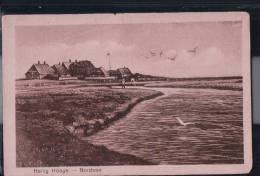 Nordsee - Hallig Hooge - Panorama - Halligen