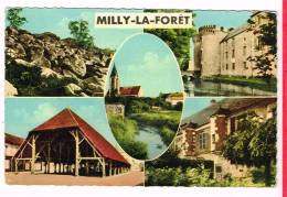 MILLY-LA-FORET ( Essonne )  Vues... Multi-Vues... - Milly La Foret