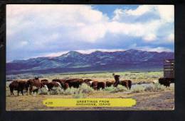 D2481 Greetings From Shoshone, Idaho, USA - Pubbl. By Noble, Rembrandt Card A155 - Other & Unclassified