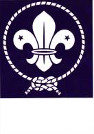 SCOUTISME,SCOUTS LOGO ,POSTCARD UNUSED. - Scoutisme