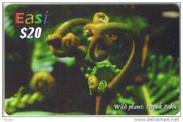 Brunei, $20, Easi, Wild Plant, Flower, 2 Scans. - Brunei