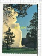 USA -  Old Faithful GEYSER, The Most Famous Geyser In Yellowstone National Park - Other & Unclassified