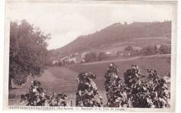 SAINT-CERGUES-les-VOIRONS  (Hte-Savoie)  -  Boringes  Et  La  Tour  De  Langin - Saint-Cergues