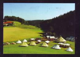 SCOUTISME,SCOUT,SCOUTING, CERCETASII  ROMANIA CAMP, POST CARD UNUSED. - Scoutisme