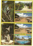 SENEGAMBIA CLUB HOTEL Gambia Sewekunda 2 Postcards - Gambie