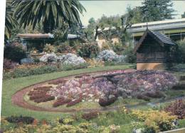 (300) Australia - WA - Perth Flower Clock - Perth