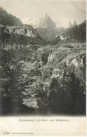 CPA PIONNIERE REICHENBACH (Suisse-Berne) - Reichenbach Mit Well Und Wetterhorn - Reichenbach Im Kandertal