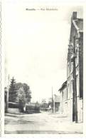 MOMALLE (4350) Rue Momelette (carte Verticale ) - Remicourt