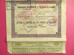 Compagnie Immobiliére Et Agricole Du CANADA/Action De Capital De 250 Francs Au^porteur/Anvers /1906        ACT38 - Landwirtschaft