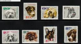 POLAND 1969 SPECIES RACES OF DOGS SET OF 8 NHM Animals - Ongebruikt