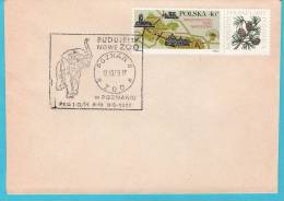 Poland 1969, POZNAN,  ZOO, Elephant, Animals, Fauna - Elefanten