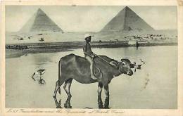 Egypte - Ref A184-inundation And The Pyramids Of Gizeh -cairo - Carte Bon Etat  - - Piramiden