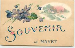 DEP 72 MAYET SOUVENIR  DE ... BELLE CARTE - Mayet