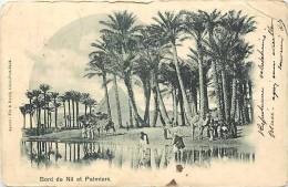Egypte - Ref A171- Bord Du Nil Et Palmiers - Plan Pyramide - Piramiden