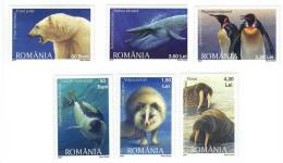 Romania / Polar Animals / Pinuine / Polar Bear / Sea Lion / - Nuovi