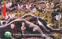 Cyprus, CYP-M-47, 16CYPB, £5 Wild Flowers Of Akamas Forest, Gray Stripe On Backside, 2 Scans - Chypre