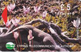 Cyprus, CYP-M-49, 18CYPB, £5 Wild Flowers Of Akamas Forest, Gray Stripe On Backside, 2 Scans - Chypre