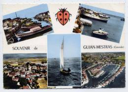 Souvenir De GUJAN-MESTRAS--1967--Vues Diverses(coccinelle),cpsm 10 X 15  N°10C Par Combier - Gujan-Mestras