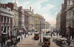 Royal Avenue Belfast, Animé, Tram - Down