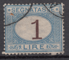 Regno D'Italia - 1870 Segnatasse (usato) 1 Lira Azzurro Chiaro E Bruno Sass. 11 - Portomarken