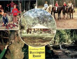 (306) Australia - NSW - Barrington House - Sonstige & Ohne Zuordnung