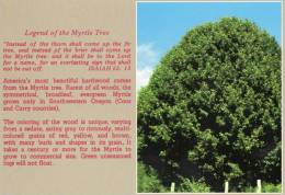 Legend Of The Myrtle Tree -  Evergreen Myrtle SW Oregon - Smith Western DP-7 B Unused - Otros & Sin Clasificación