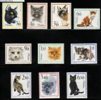 POLAND 1964 CATS SET OF 10 STAMPS NHM - A BEAUTIFUL & ATTRACTIVE ITEM WHICH WILL HAVE YOU PURRING WITH PLEASURE !!!! - Ongebruikt