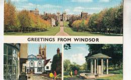 BR51895 Windsor Castle     2 Scans - Windsor Castle