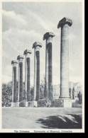 Missori Columbia University Of Missouri The Columns - Columbia