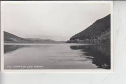 UK - WALES - MONTGOMERYSHIRE - Lake Vyrnwy, Fish Jumping - Montgomeryshire