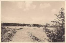 Wyk Auf Föhr, Kurpark, Foto 1935 - Föhr