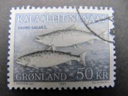 1082  Groenland Poisson Arctic Arctique Fish Ocean  North Pole Nord Pêche Salmon Saumon - Faune Arctique