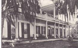 Mississippi Natchez Linden - Andere & Zonder Classificatie