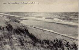 Delaware Bethany Along The Ocean Shore Albertype - Sonstige & Ohne Zuordnung