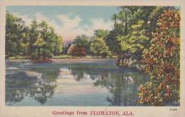 Alabama Flomaton Greatings From Flomaton - Autres & Non Classés