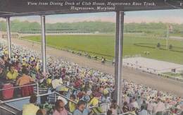 Maryland Haggerstown View From Dining Deck Of Club House Haggerstown Race Track - Hagerstown