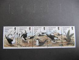 11-1317 Sterne Antarctique Tern Antartico Antarktis Zuidpool - Mouettes