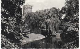 Nederland/Holland, Nijmegen, Kronenburgerpark, Ca. 1960 - Nijmegen