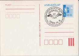 BAT - 1984 HUNGARY - "undervorld" Stamp Exhibition - MISKOLC - Commemorative Stamping - STATIONERY - POSTCARD - Chauve-souris