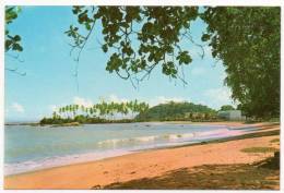 Guyane Française - Cayenne - Pointe Du Buzaret - Vue De La Plage Des Amandiers - Cayenne