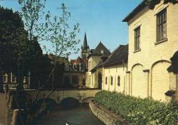 Belgique-Renaix-Ronse- Etang Cambier, Tour De L'église St-Hermès- Cambiervijver  St. Hermeskerktoren. Scans Recto-verso - Ronse